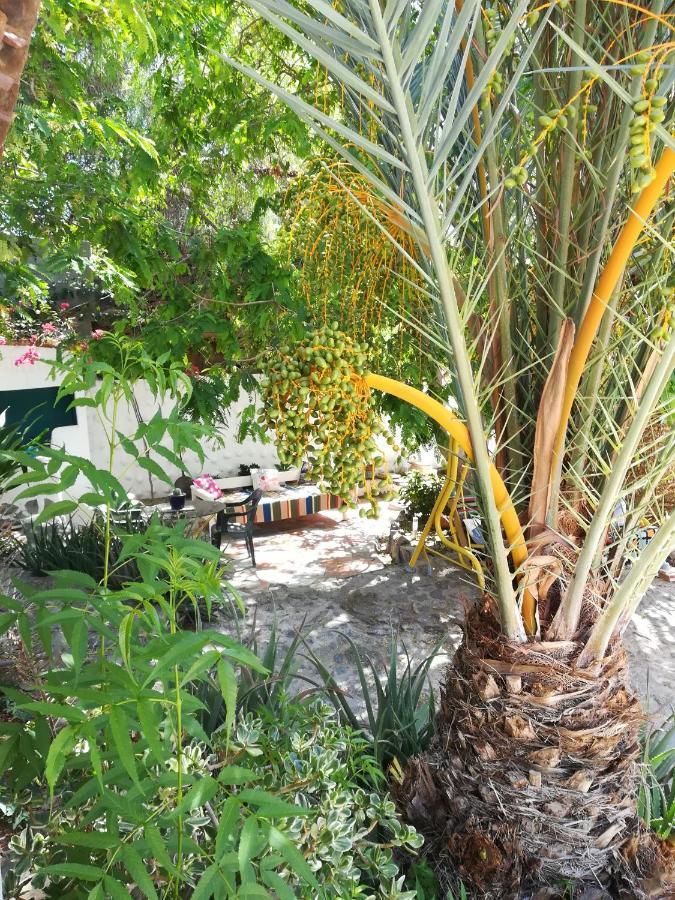 Casa Mamanena Guest House Mogan Luaran gambar